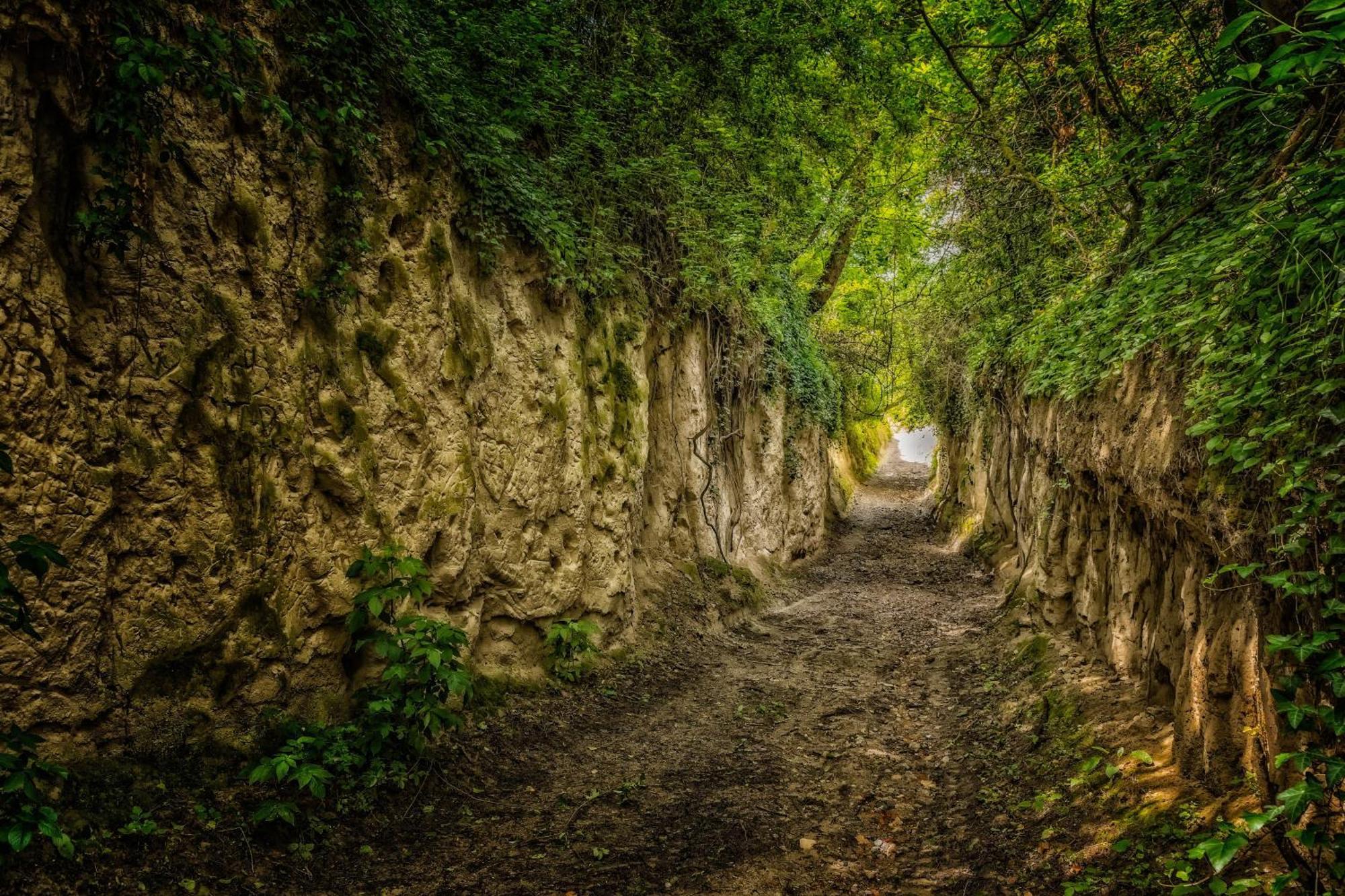 Dreilaendereck Am Kaiserstuhl Wasenweiler ภายนอก รูปภาพ